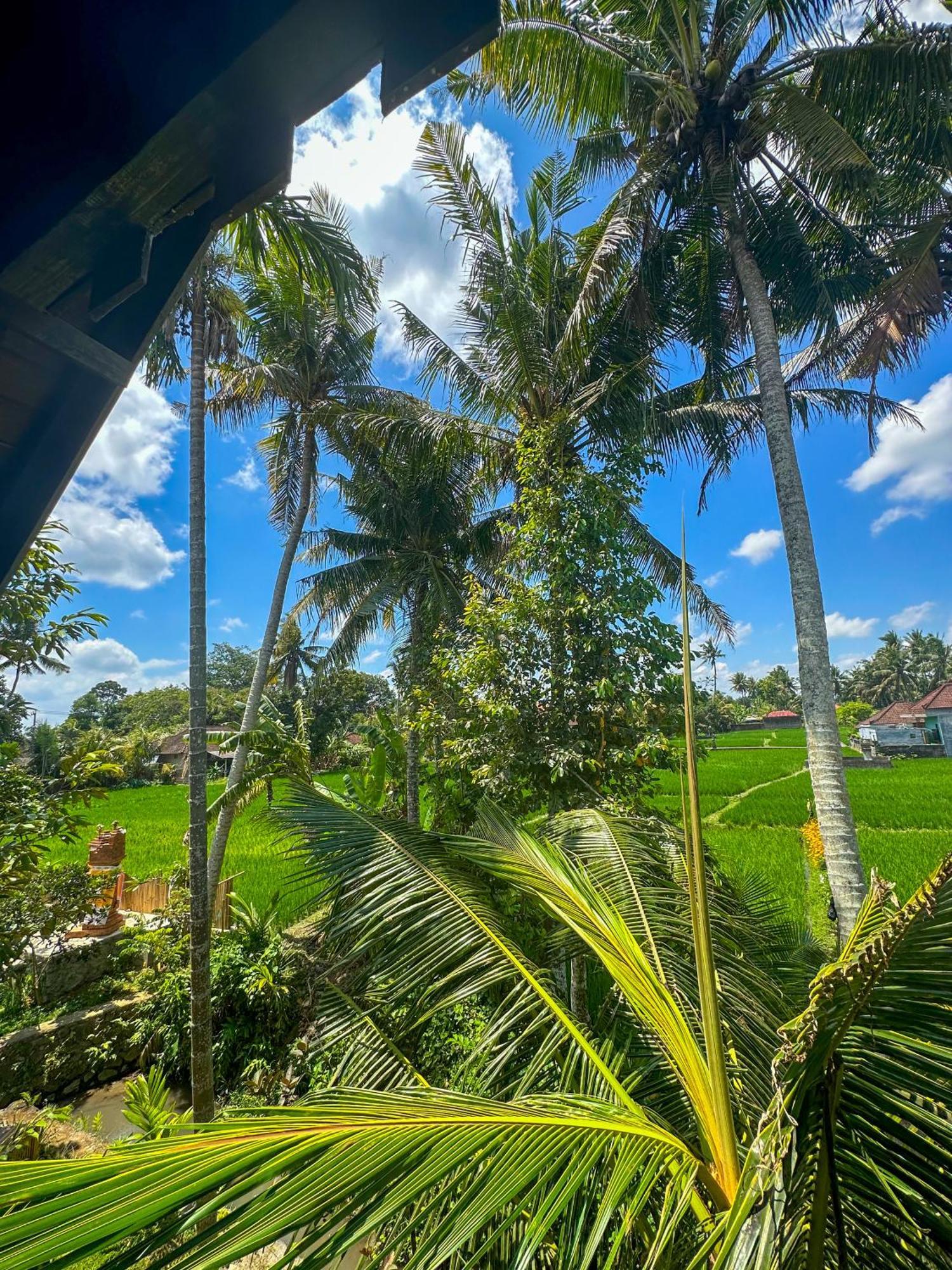 Nunu Bali Eco Friendly Retreat Hotel Canggu Eksteriør billede