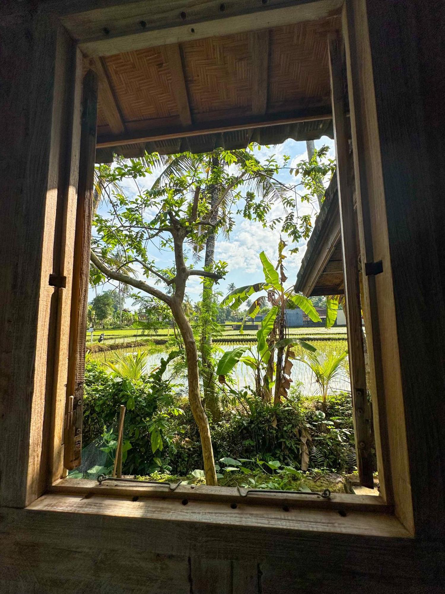 Nunu Bali Eco Friendly Retreat Hotel Canggu Eksteriør billede
